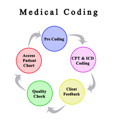 Five Components of Medical Coding