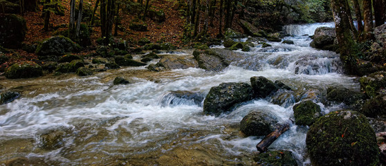 Torrent du H&eacute;risson, Jura