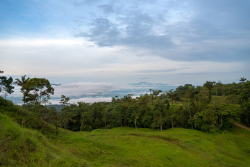 Fototapeta na wymiar Landscape with tropical forest and fog between mountain. Colombia.