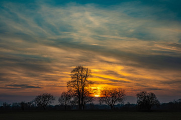 colorful sky at sunset with tree silhouettes