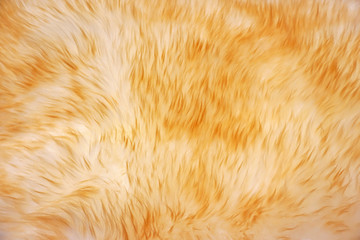 Natural texture of the wool