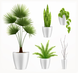 House Plants In Pot Realistic Composition