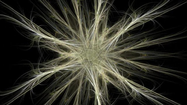 Thorns, feathers and wings - seamlessly looping abstract fractal background render