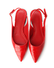 Stylish female shoes on white background