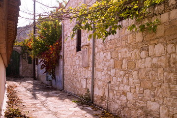 Fototapeta na wymiar Village street with house walls and autumn leaves