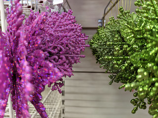 Christmas toys on the shelves in the store. green and pink snowflakes