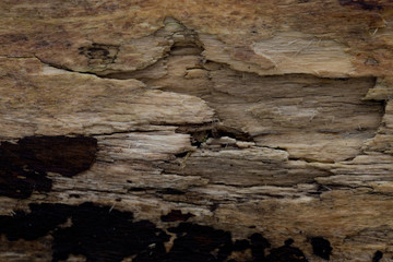 rotten old wood, textured background top view. Abstract background.