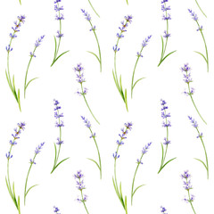 Watercolor seamless pattern of lavender flowers on a white background.