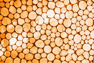 Sunny orange color round pattern wooden texture background