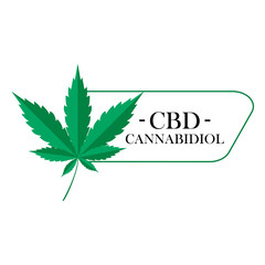 illustrations of cannabis and marijuana. Collection of marijuana and cannabis medical medicines vector