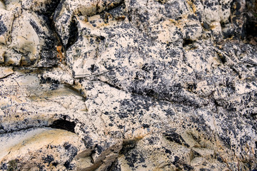 A rock on Newfoundland coast line in Canada.