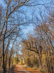 Brownwood Tx Riverside park autumn  fall 
