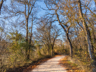 Brownwood Tx Riverside park autumn  fall 