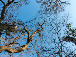 Brownwood Tx Riverside park autumn  fall 