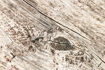 Background with old wood with knur. Textured wooden pattern.