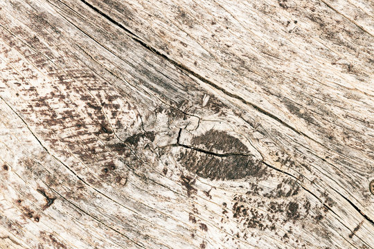 Background with old wood with knur. Textured wooden pattern.