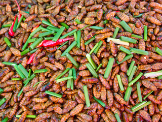 Deep fried grubs for sale at the market at Skun in Kampong Cham Province, Cambodia.