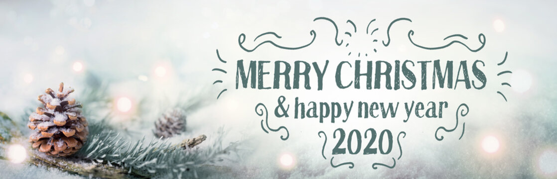 Merry Christmas and Happy New Year 2020  -  Christmas congratulations card -  Pine cone in snow landscape with magic lights  -  Banner, header