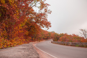 road in autumn