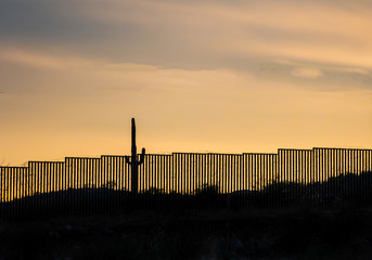 Mexico border wall at southern southern Arizona border with iconic Saguaro cactus in foreground 
