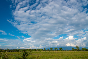 Fototapeta na wymiar Country landscape with sunny day and blue sky with clouds in Colombia
