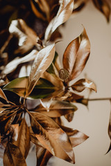 Décoration florale & dorée