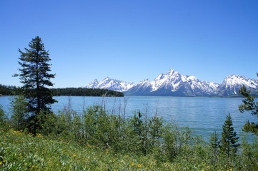 Yellowstone National Park