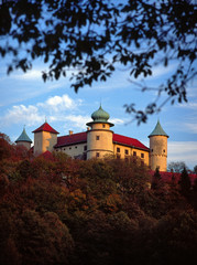 Fototapeta na wymiar Kmita castle in Nowy Wisnicz - October, 2008 - Poland