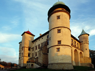 Fototapeta na wymiar castle in Nowy Wisnicz - October, 2008 - Poland