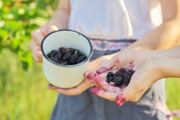 Children with crop of berries in mug, mulberry tree in summer garden