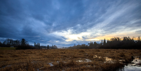 Wide angle view of fog rolling in above marsh on a cold fall morning