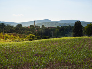 Fototapeta na wymiar Paisajes de campo y naturaleza rurales con un campanario y montañas al fondo en la zona de Lipovac , Croacia, verano de 2019