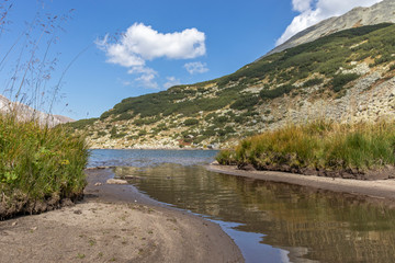 Fish Banderitsa lake at Pirin Mountain, Bulgaria