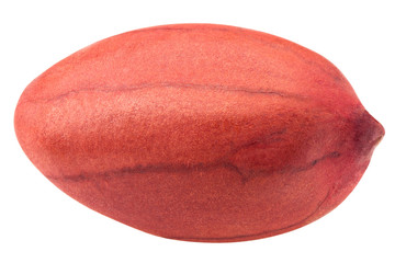 peanut isolated on white background, clipping path, full depth of field