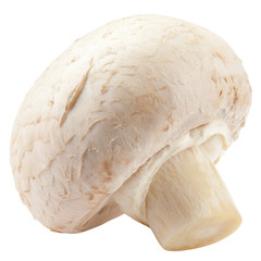 champignon, mushroom, isolated on white background, clipping path, full depth of field