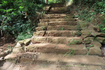 stairs in the park