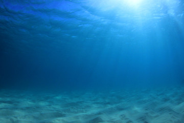 Naklejka na ściany i meble Underwater ocean background 