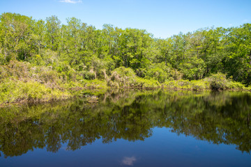 Lake reflection shoreline 