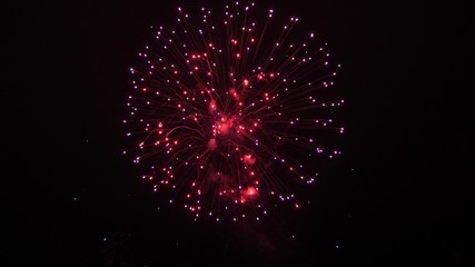 beautiful multi colored fireworks in night sky. New year's eve fireworks celebration. shining...