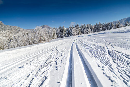 Cross-country skiing track in winter landscape