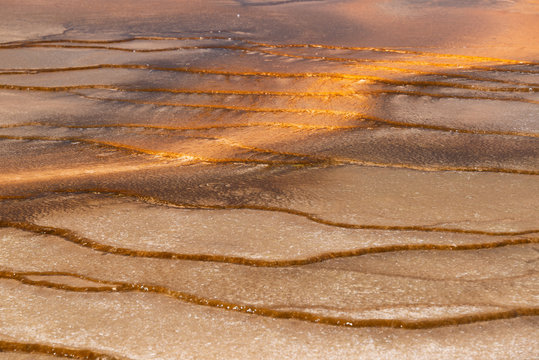 yellowstone geiser