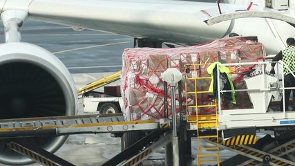 An airport - loading the cargo in the plane - Powered by Adobe