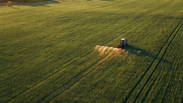 Farm tractor spraying plants in the field. Russia Pskov region. Sun rays on horizon