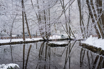 Cold winter day on the river. Winter landscape.