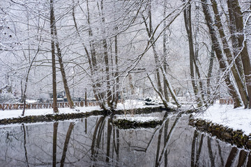 Cold winter day on the river. Winter landscape.