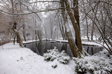 Cold winter day on the river. Winter landscape.