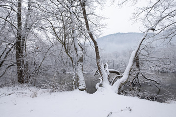 Cold winter day on the river. Winter landscape.
