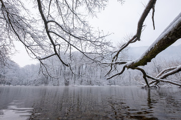 Fototapeta na wymiar Cold winter day on the river. Winter landscape.