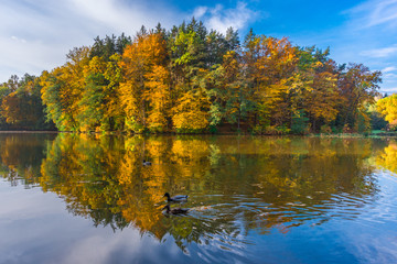 Autumn morning at lake Thal near Graz, Styria region, Austria