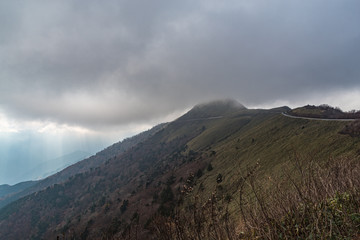 UFOライン
